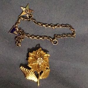 Eastern Star jewelry, pins,earrings, and bracelet.